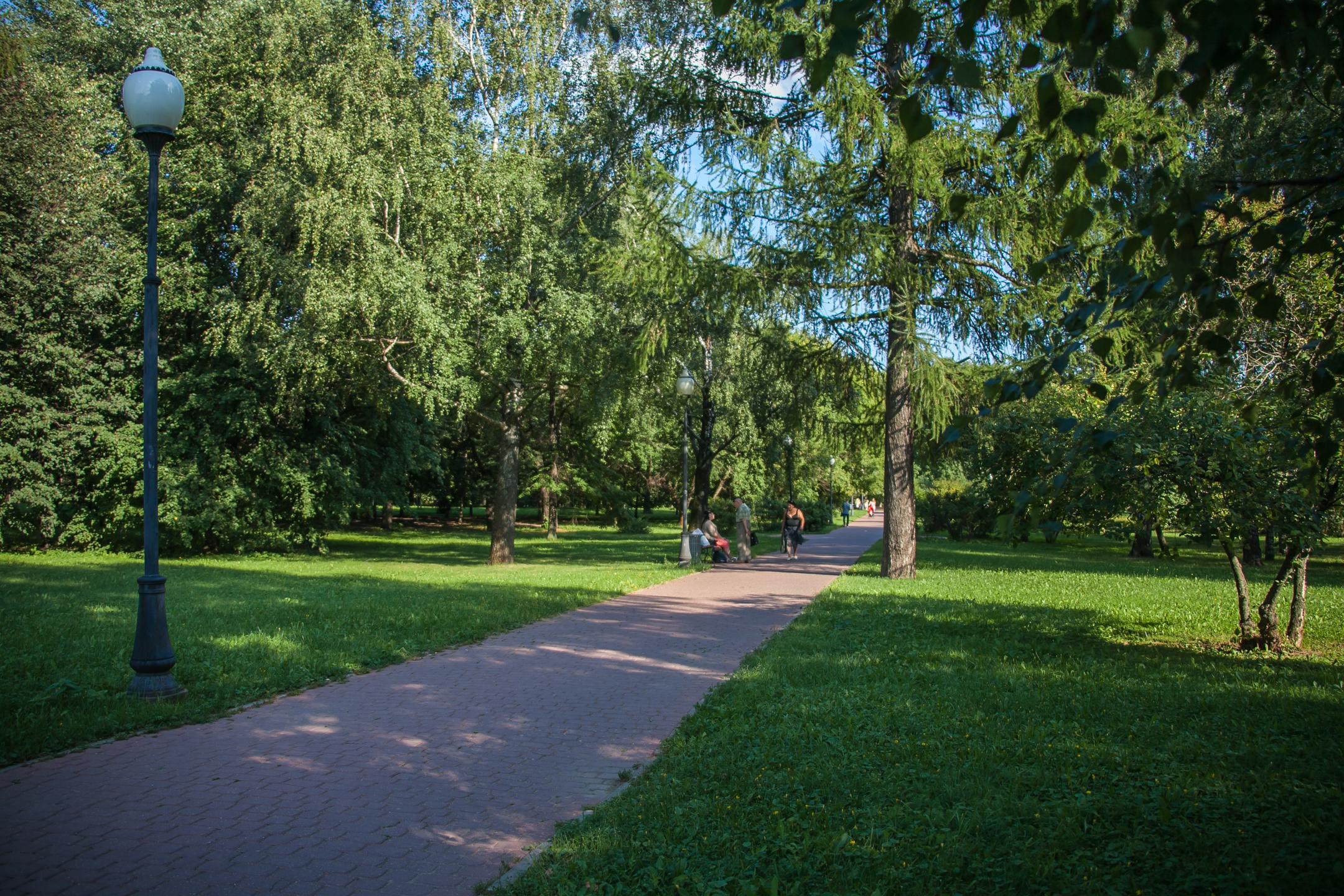 Сад будущего. Новый парк в Ростокино. Парк сад будущего. Парк сад будущего план. Парк сад будущего Москва летом.