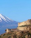 В Волгограде устроят фестиваль азербайджанской культуры В Волгограде устроят фестиваль азербайджанской культуры