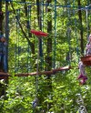 В «Кузьминках» открылся веревочный парк В «Кузьминках» открылся веревочный парк