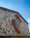 В Санкт-Петербурге прочитают лекции про стрит-арт В Санкт-Петербурге прочитают лекции про стрит-арт