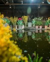 В «Аптекарском огороде» возобновляют работу тропические оранжереи В «Аптекарском огороде» возобновляют работу тропические оранжереи