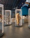 На ВДНХ отпразднуют День космонавтики На ВДНХ отпразднуют День космонавтики