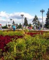Специалисты ВДНХ разработали календарь цветения редких растений Специалисты ВДНХ разработали календарь цветения редких растений