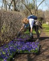 Четыре московских парка приглашают на цветочный своп Четыре московских парка приглашают на цветочный своп