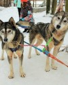 О жизни народов Чукотки расскажут в Измайловском парке О жизни народов Чукотки расскажут в Измайловском парке