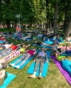 На ВДНХ можно бесплатно заняться хатха-йогой На ВДНХ можно бесплатно заняться хатха-йогой
