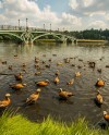 В «Царицыне» готовятся к «дачным каникулам» В «Царицыне» готовятся к «дачным каникулам»