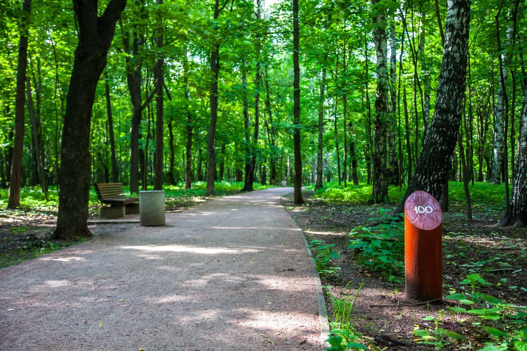 Stone sokolniki. Парк Сокольники тропа. Парк Сокольники тропа здоровья. Парк Сокольники экотропа. Тропинки в Сокольниках.