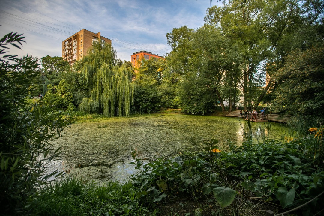 Аптекарский огород в москве фото оранжереи