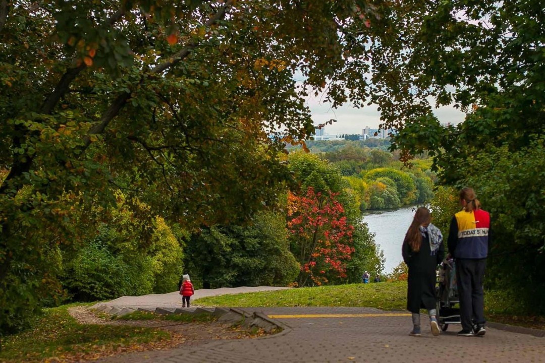 Прогулки в парках