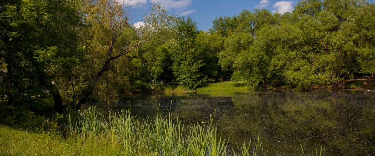 usadba lefortovo meropriyatiya eda