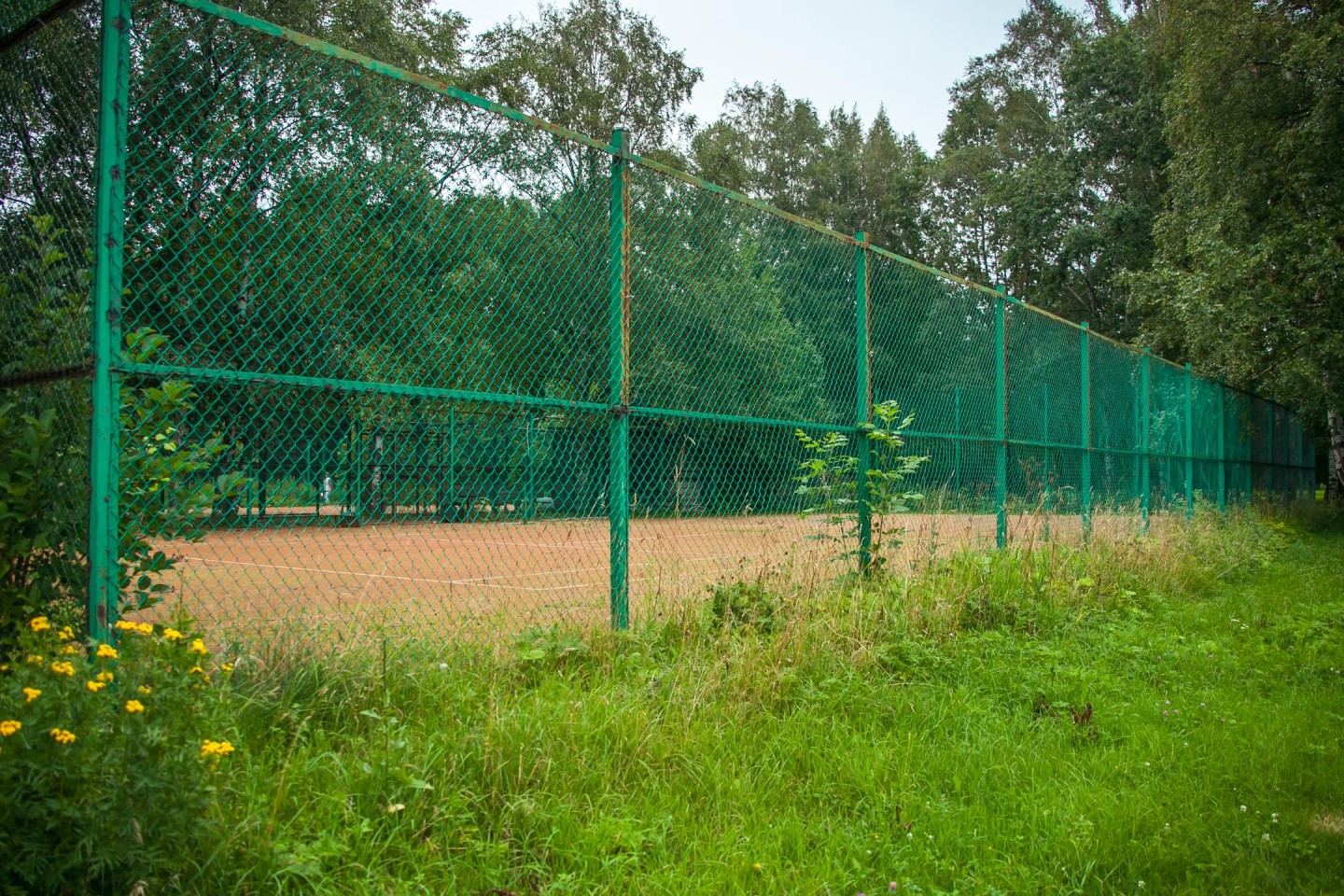 Теннисные корты — ParkSeason