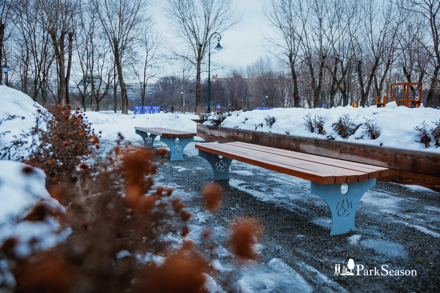 Сиреневый сад в москве карта