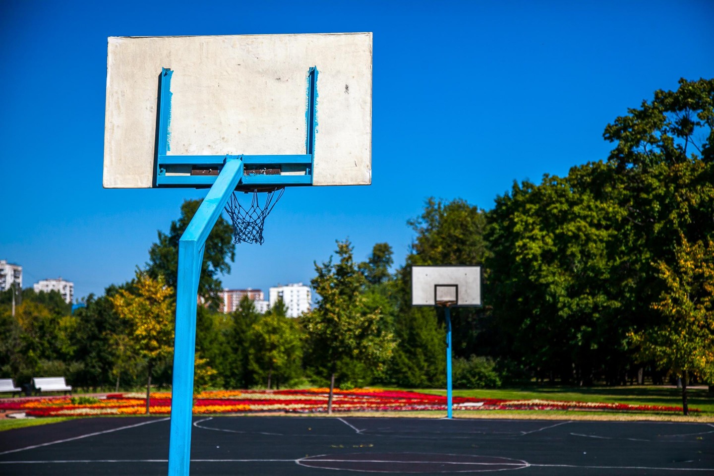 Проспект мира парк Яуза баскетбольная площадка