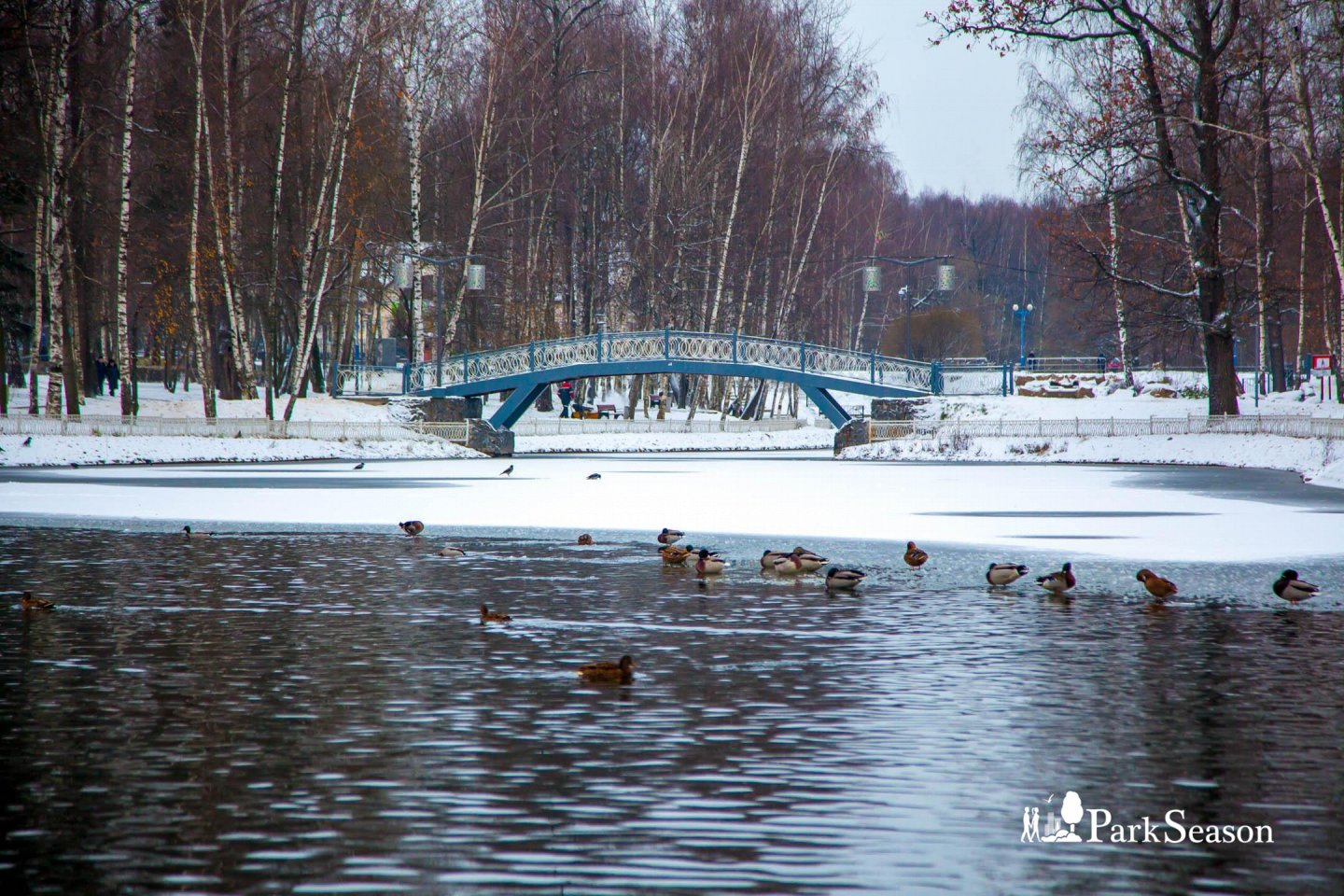 Лианозовский парк: мероприятия, еда, цены, билеты, карта, как добраться,  часы работы — ParkSeason