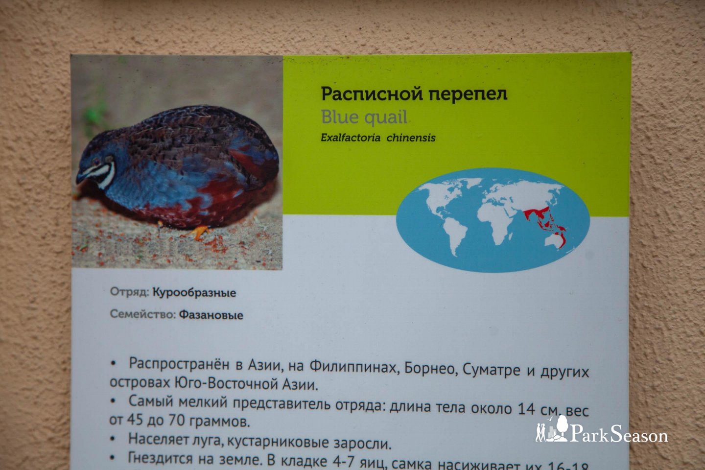 Вьюрковые птицы, Московский зоопарк, Москва — ParkSeason