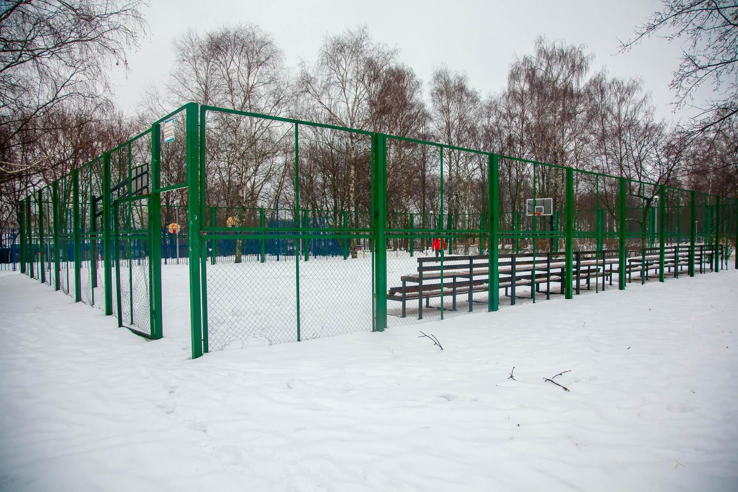 Баскетбольная площадка, Парк «Северное Тушино», Москва — ParkSeason