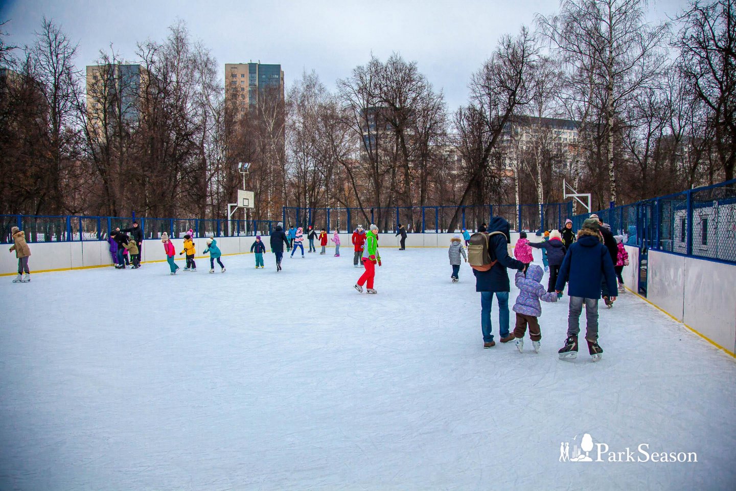 Каток в парке «Березовая роща», Парк «Березовая роща», Москва — ParkSeason