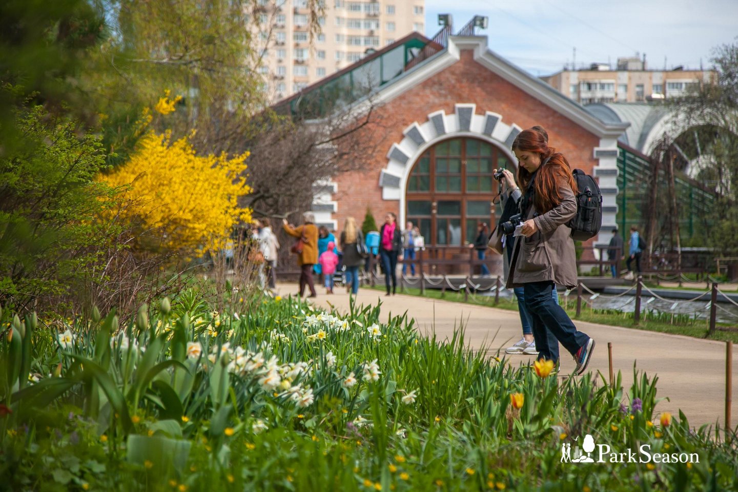 Аптекарский огород в москве фото оранжереи