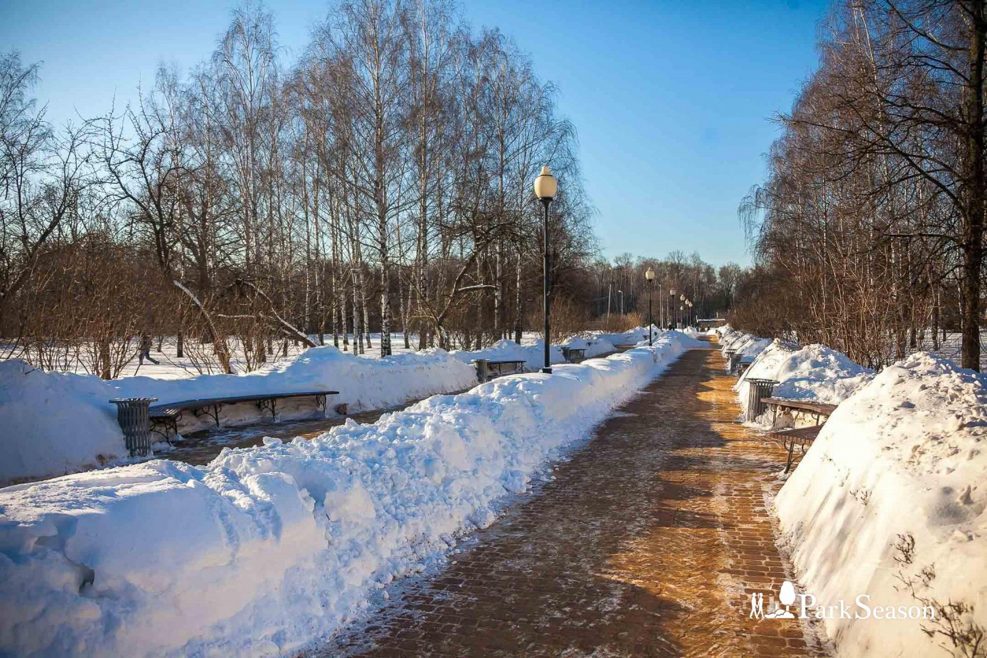 Парк сад будущего зимой