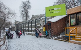 Московский зоопарк: мероприятия, еда, цены, билеты, карта, как добраться, часы работы — ParkSeason