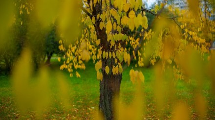 Осень в парках глазами москвичей: инстаграм-подборка ParkSeason
