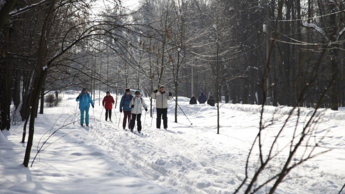 Измайловский парк приглашает на лыжные прогулки