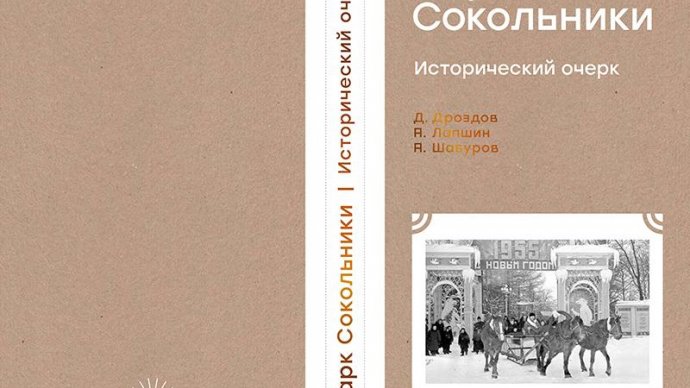 История дизайна сокольникова читать