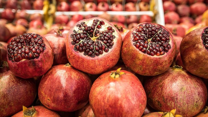 На фестивале кино об экологии петербуржцев угостят выброшенными продуктами