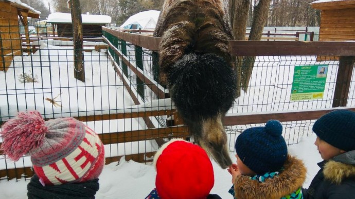 Парк Николаева проводит экскурсии в зооуголок «Ковчег»
