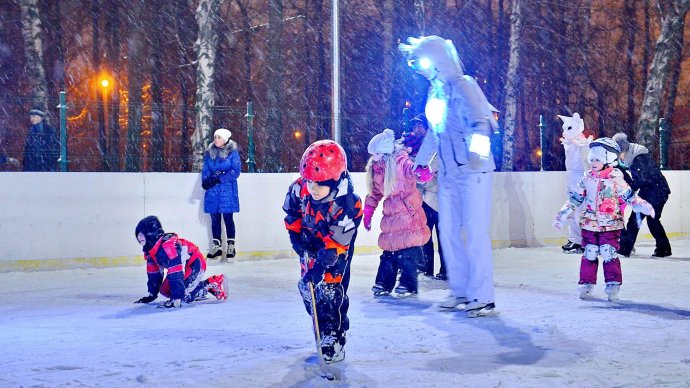 Воронцовский парк каток