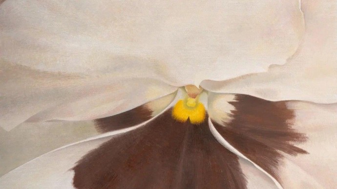 Выставка Виктории Липец «Гербарий художницы» откроется на Елагином острове