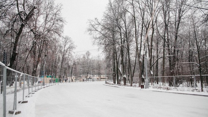 Птицы парка сокольники фото с названиями и описанием