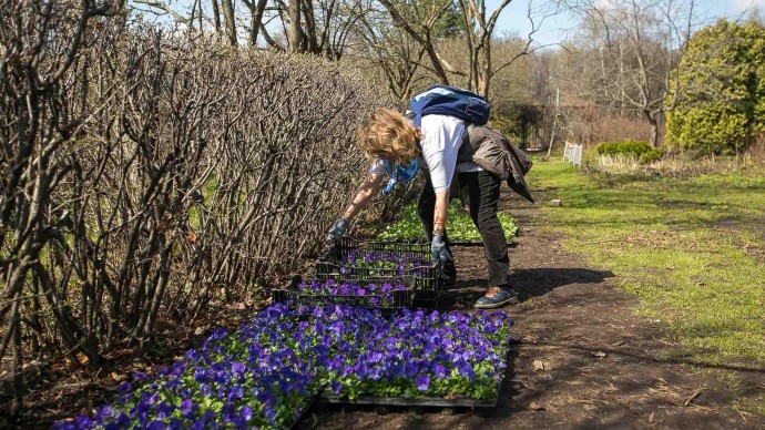 Четыре московских парка приглашают на цветочный своп