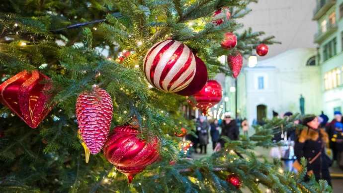 Ярмарка новогодних елок откроется в «Новой Голландии»