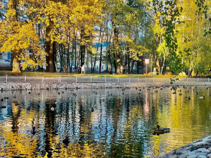 Лианозовский парк, Москва