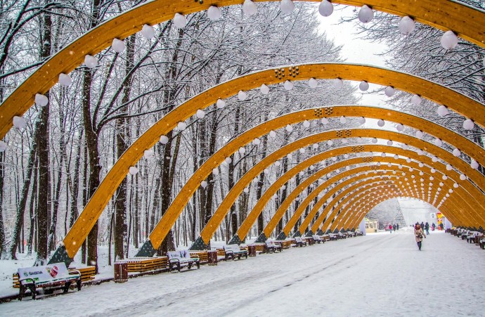 Фото летнего парка