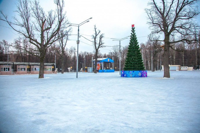 Каток в измайловском парке серебряный лед