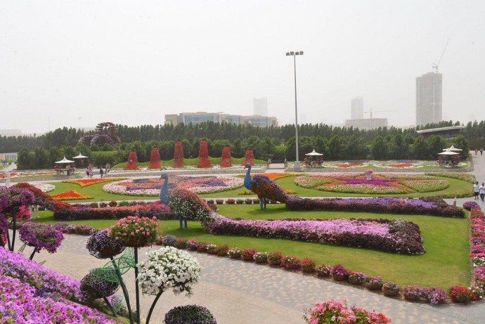 Лучшие парки мира: Dubai Miracle Garden, Дубай, ОАЭ