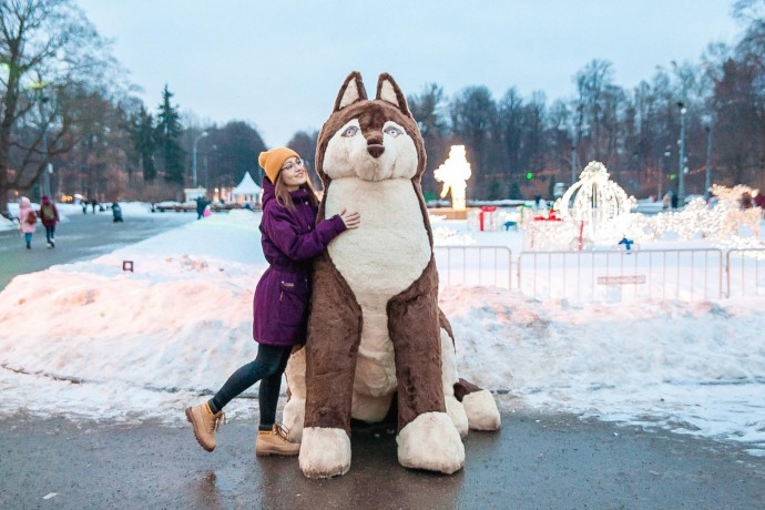 собака обнимака игрушка. собака односторонняя игрушка. собака обнимака игрушка хаски. собака обнимака пермь 2023. собака обнимака пермь.