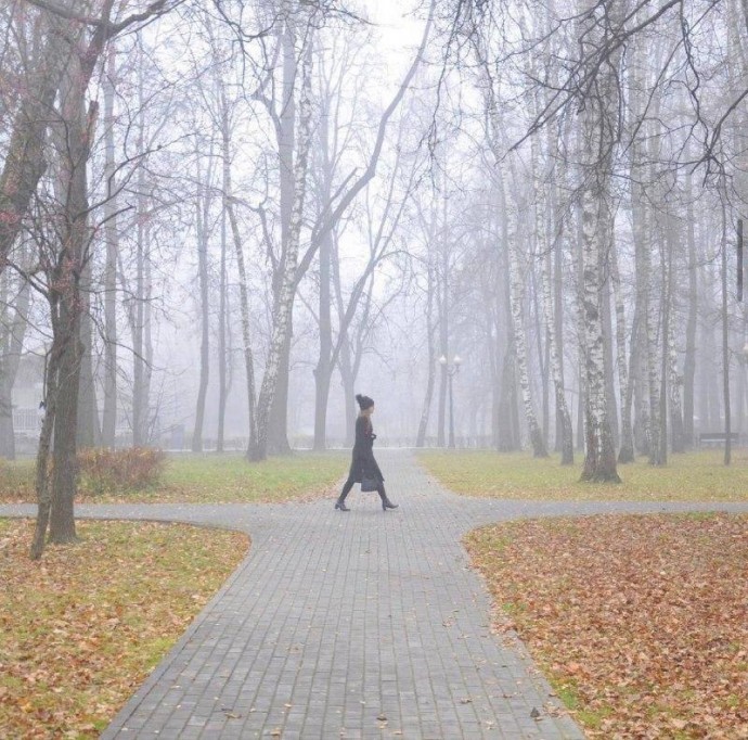 Московские парки поделились фотографиями туманных пейзажей