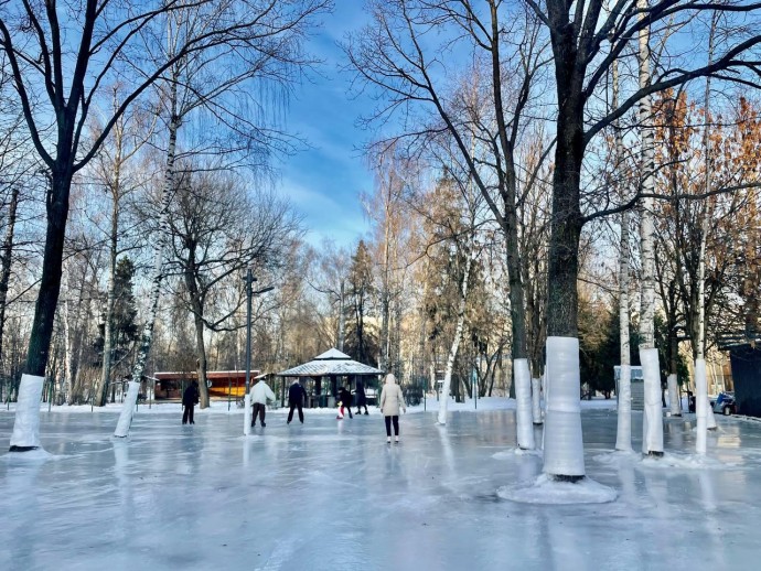 Лианозовский парк (Москва)