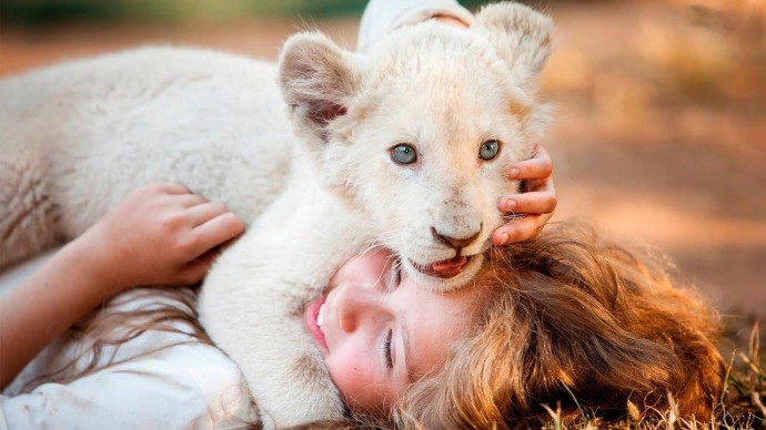 «Миа и белый лев»