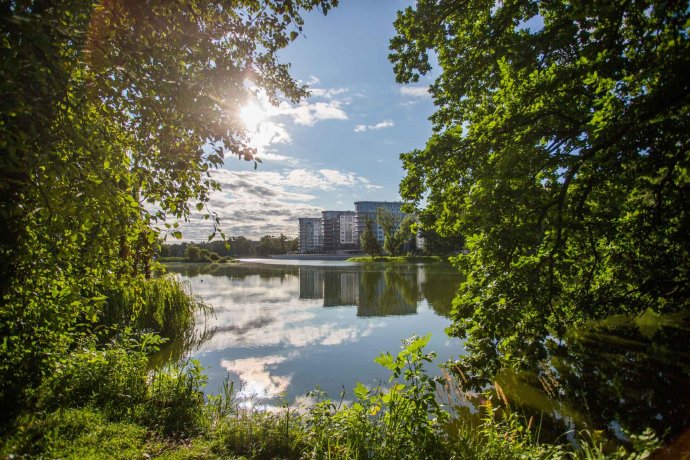 Парки Калининграда: самые живописные снимки прошедшего лета
