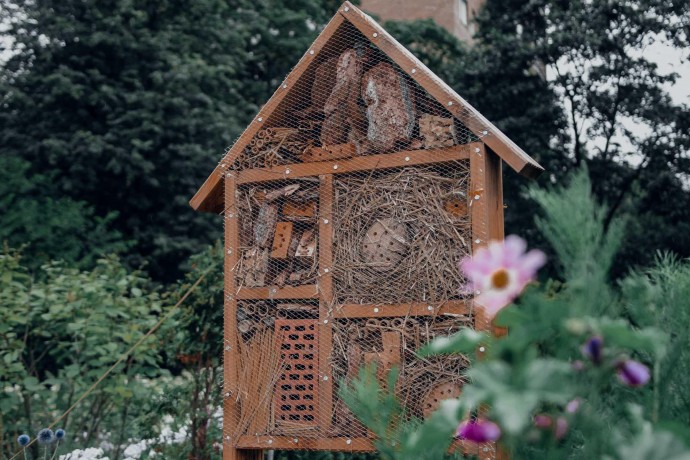 Дом для пчел в «Аптекарском огороде»