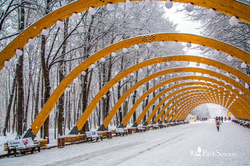 Сокольники парк осенью фото