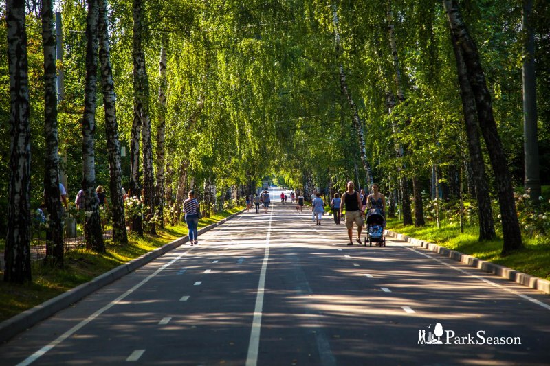 Парк сокольники картинки